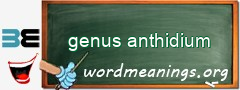WordMeaning blackboard for genus anthidium
